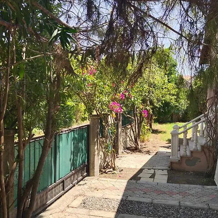With Private Pool&garden&garage