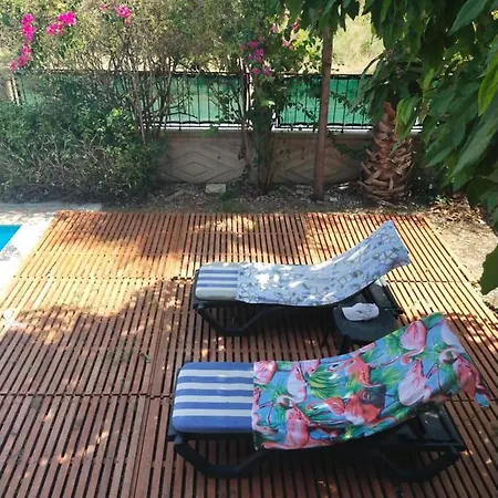 Casa de Férias With Private Pool&garden&garage *